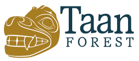 Taan is submitting its FSP and would like your input.
