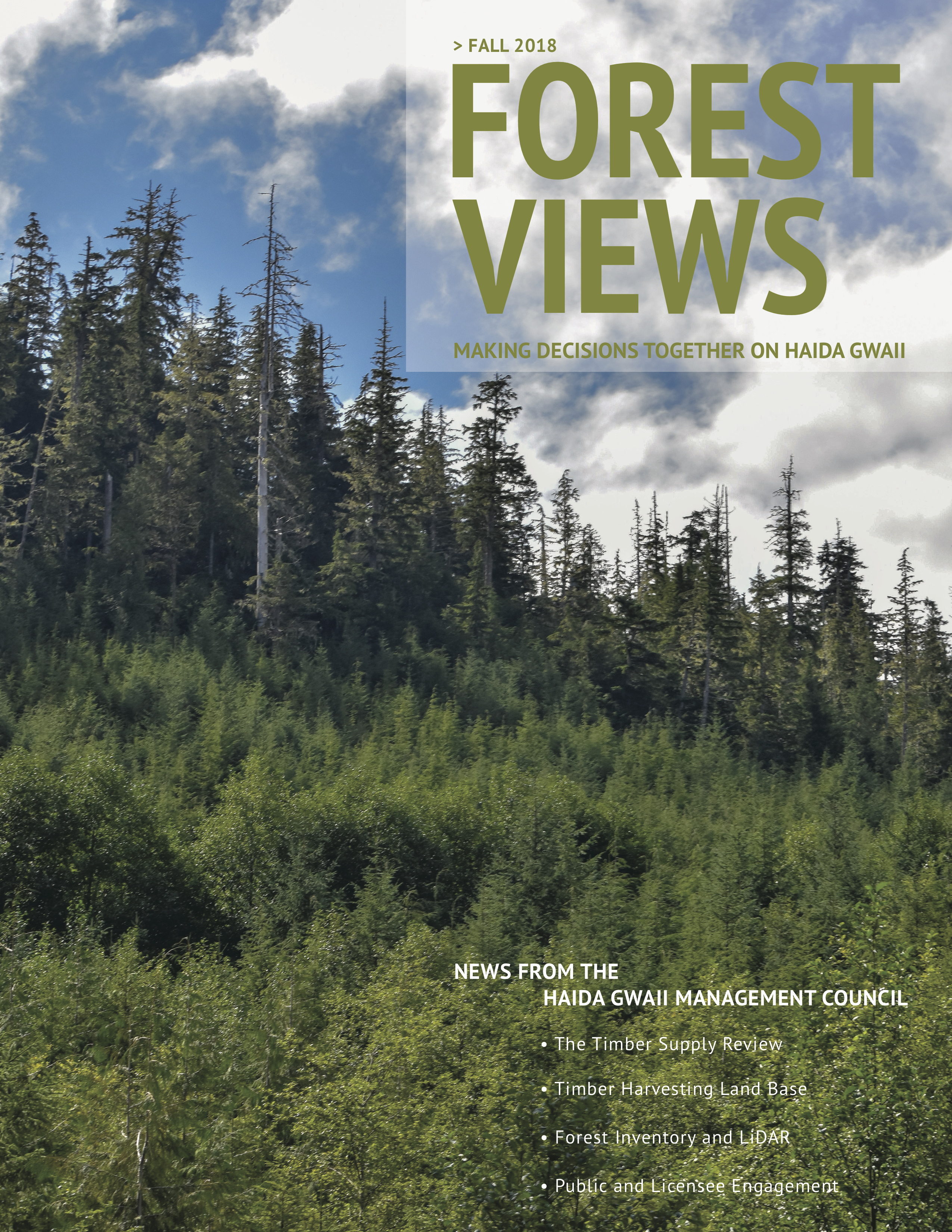 Forest Views – Fall 2018