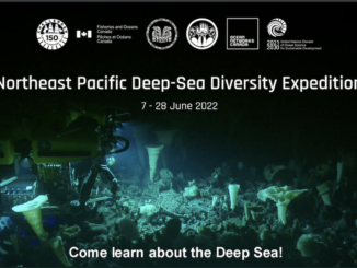 Northeast Pacific Deep Sea Diversity Expedition